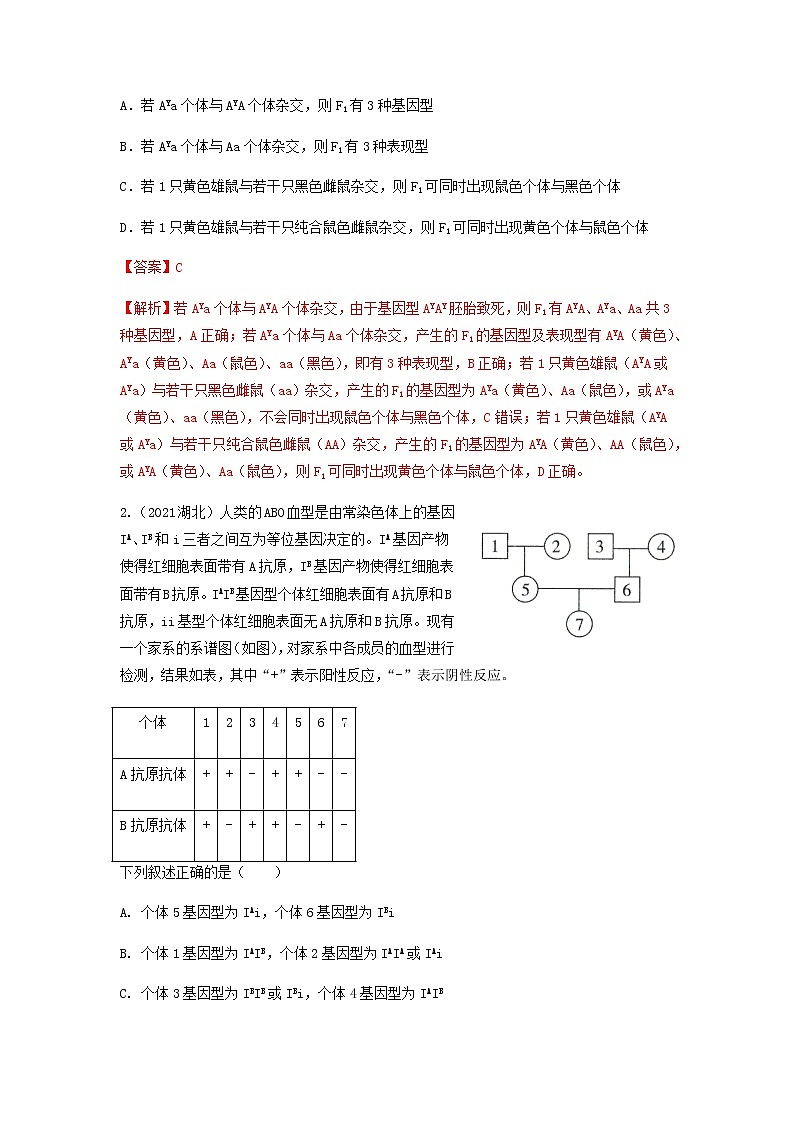 易错点08  遗传的基本规律（教师版）第3页