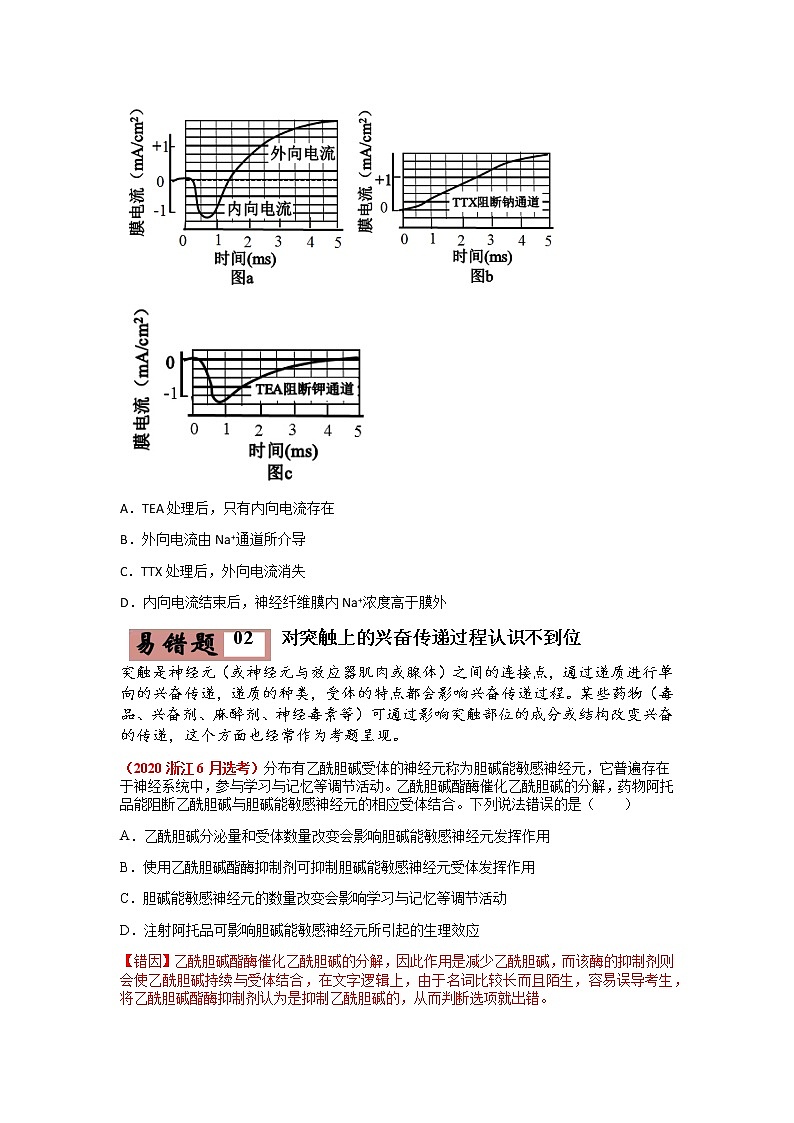 易错点12 神经调节（学生版）第3页