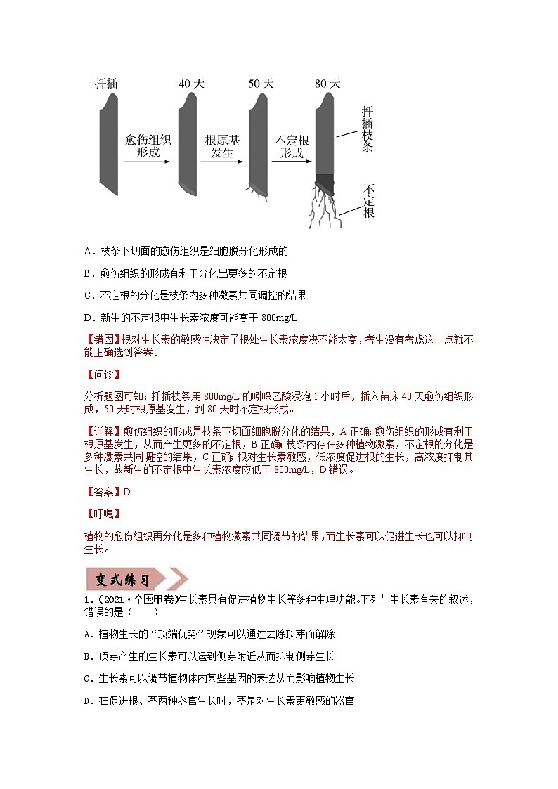 易错点15 植物生命活动的调节（教师版）第2页