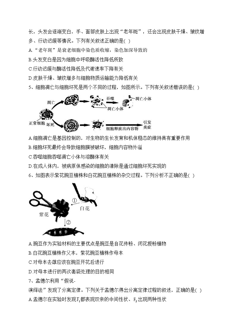 长沙市长郡中学2022-2023学年高一下学期第一次适应性检测生物试卷（含答案）第2页