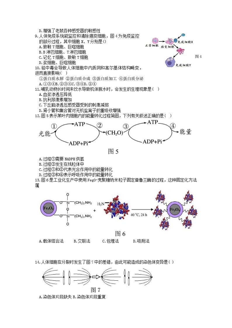 2022上海长宁区高三二模生物试题含答案02