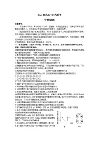 2023河北省高三下学期4月大联考试题（二模）生物含答案