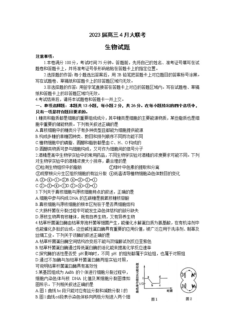 2023河北省高三下学期4月大联考试题（二模）生物含答案01