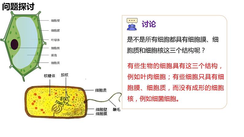 1.2.2原核细胞和真核细胞课件04