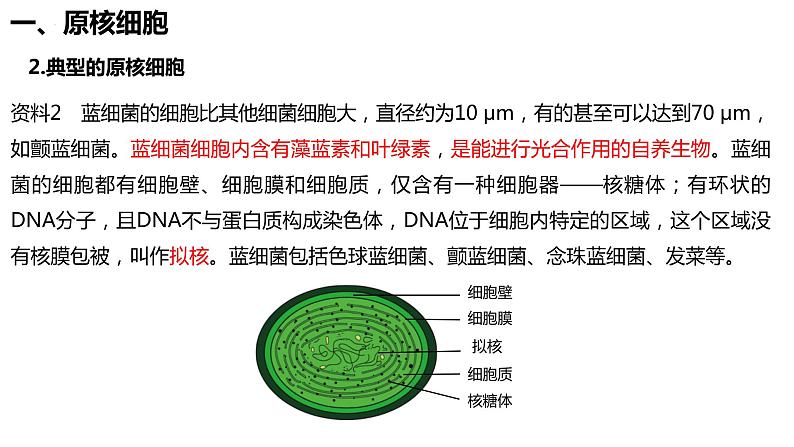 1.2.2原核细胞和真核细胞课件08