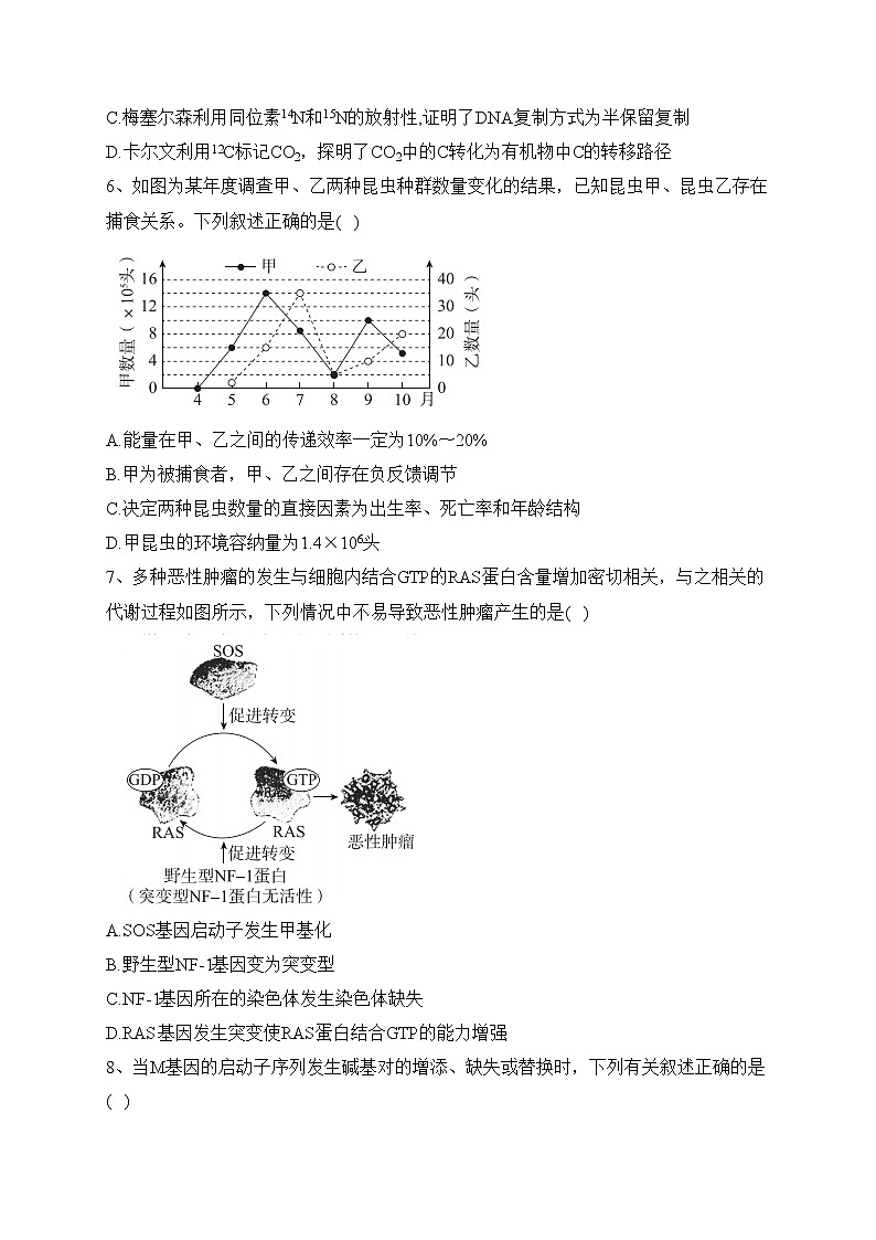 广东省湛江市2023届高三下学期3月普通高考测试（一）生物试卷（含答案）02