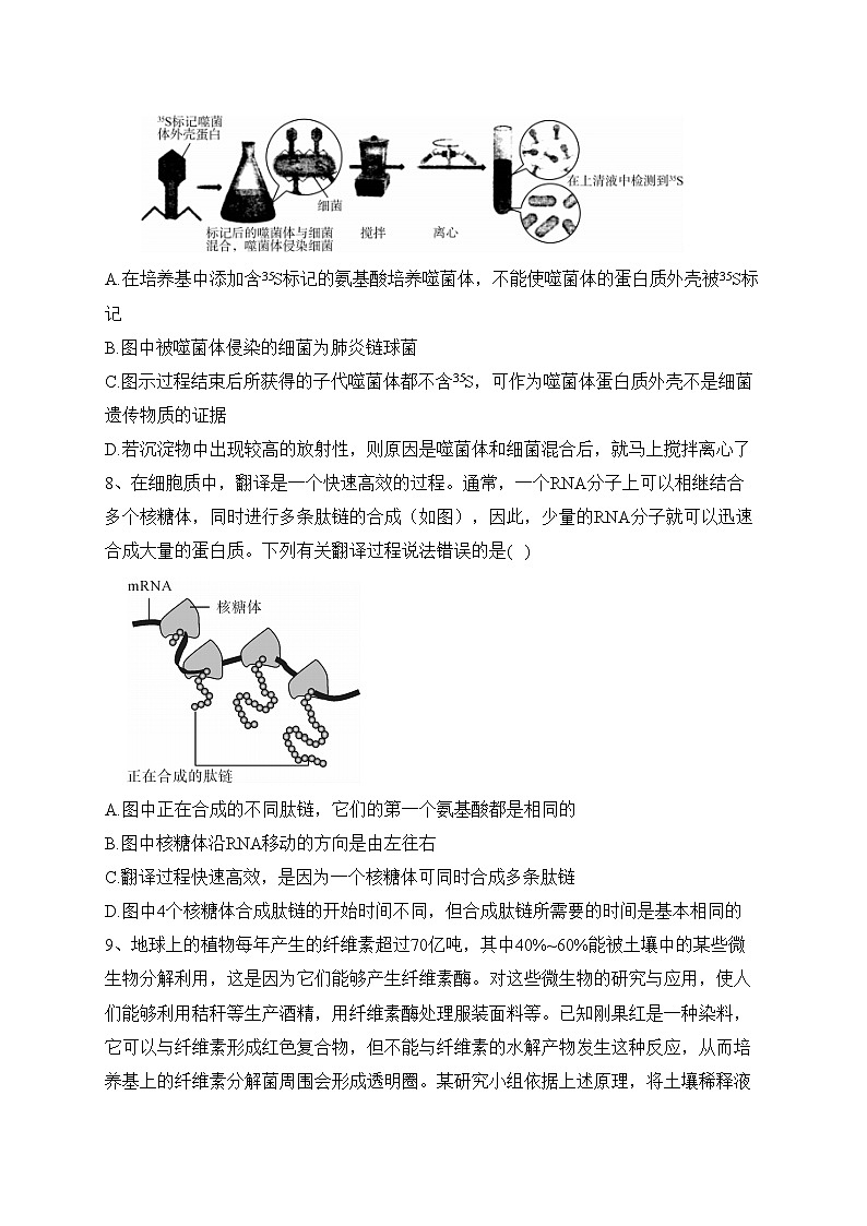湖南省三湘名校2023届高三下学期第二次大联考生物试卷（含答案）第3页