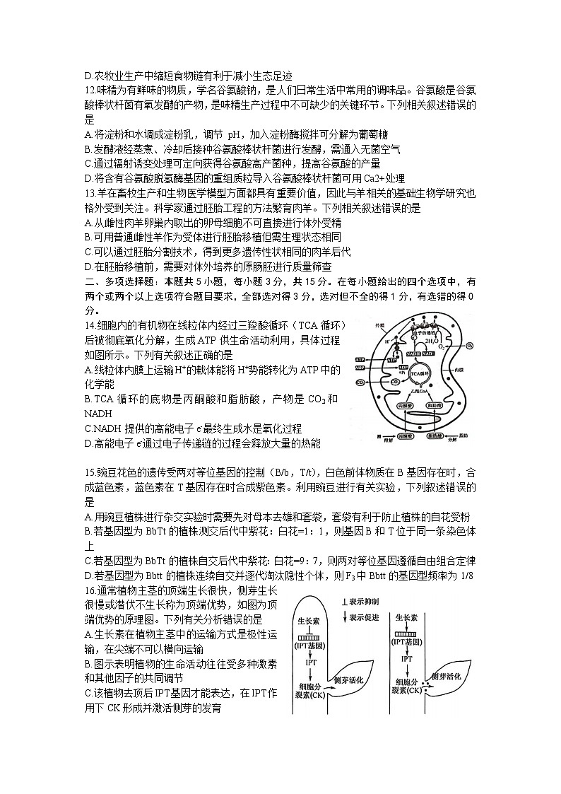 河北省2023届高三生物下学期4月大联考试题（二模）（Word版附答案）第3页
