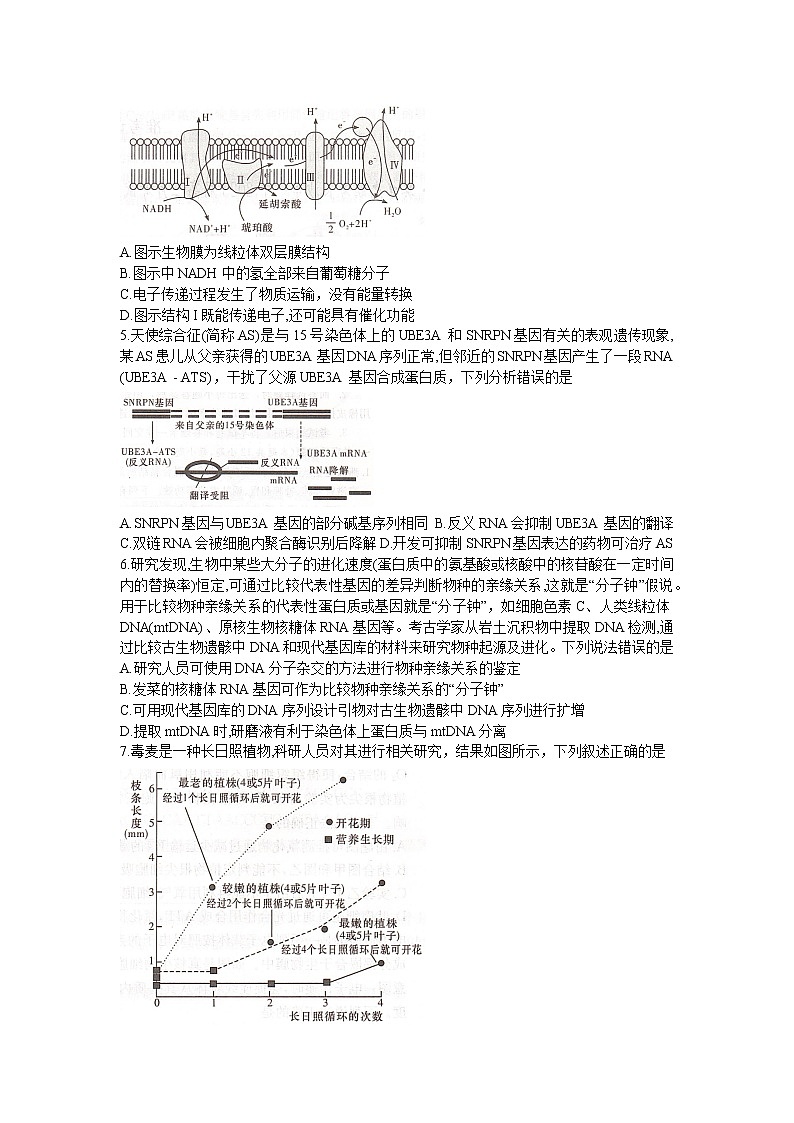 湖南省长沙市第一中学2022-2023学年高三生物下学期月考（八）（Word版附解析）02