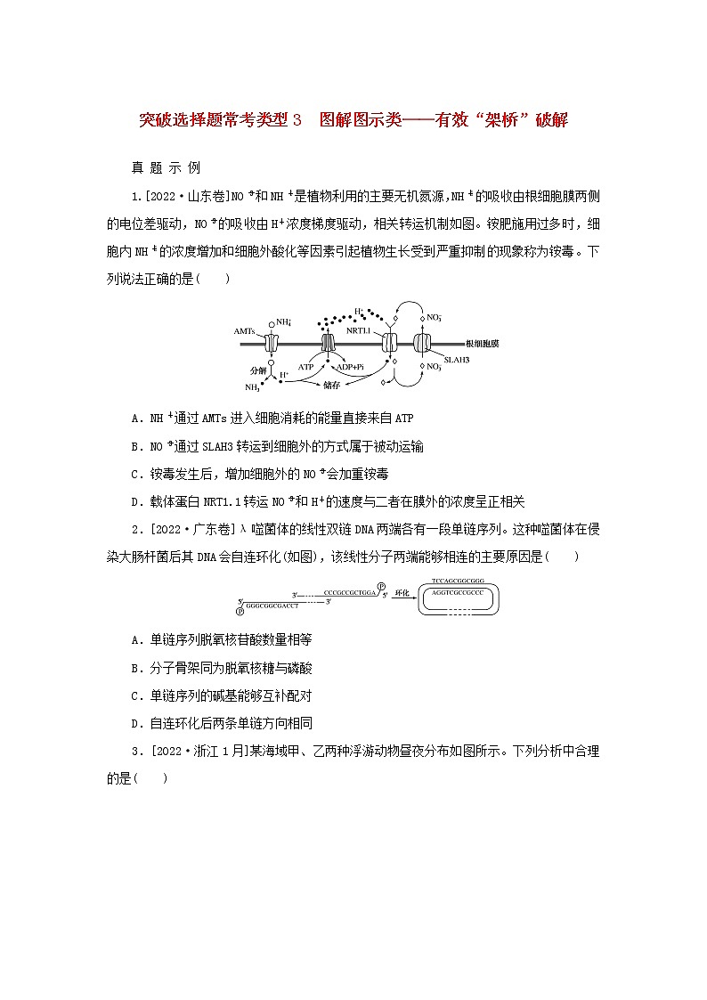 2023新教材高考生物二轮专题复习 突破选择题常考类型3 图解图示类——有效“架桥”破解第1页