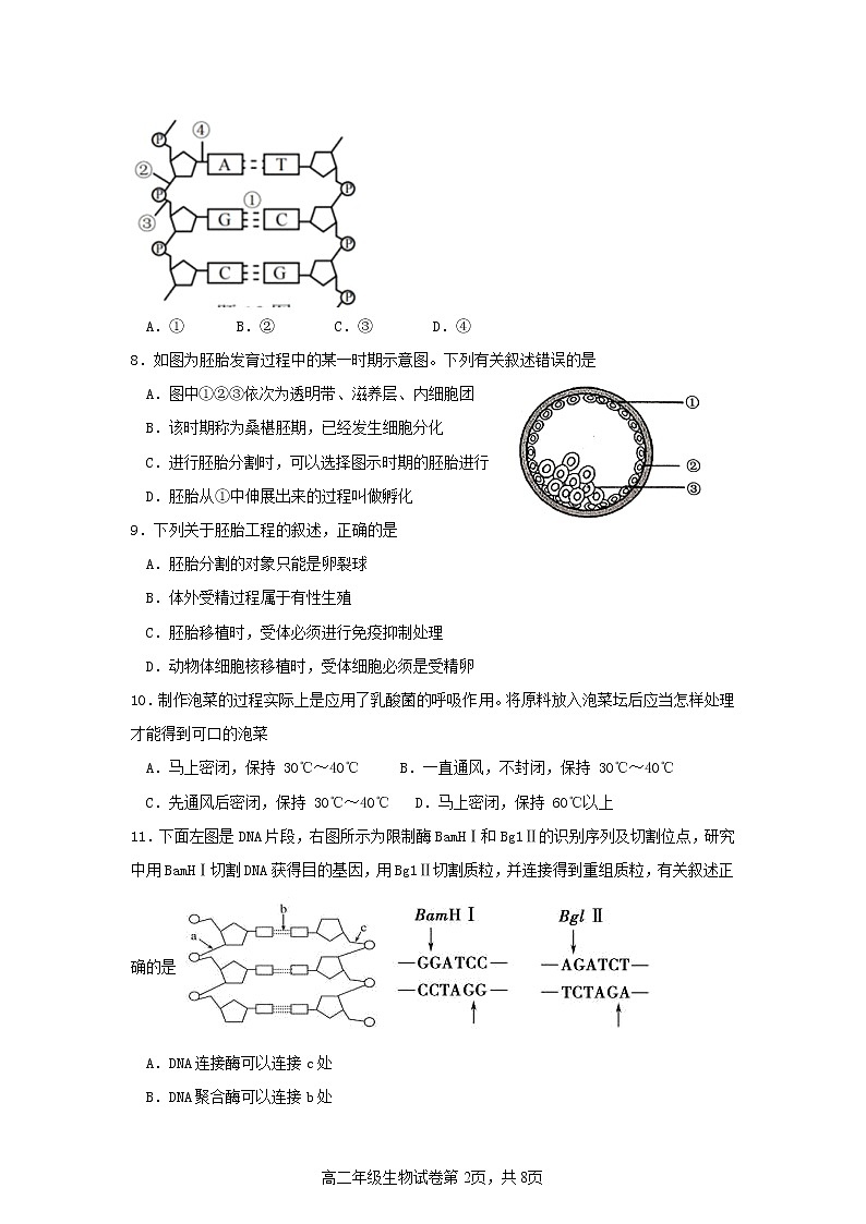 江苏省连云港市灌南县第二中学2022-2023学年高二生物下学期第一次月考试题（Word版附答案）第2页