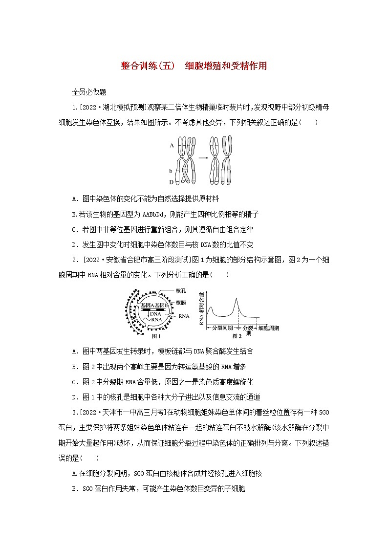 2023新教材高考生物二轮专题复习 整合训练（五）细胞增殖和受精作用第1页