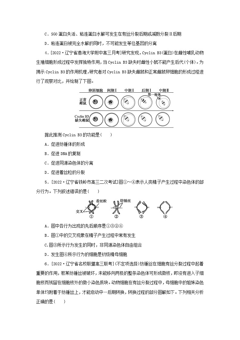2023新教材高考生物二轮专题复习 整合训练（五）细胞增殖和受精作用第2页