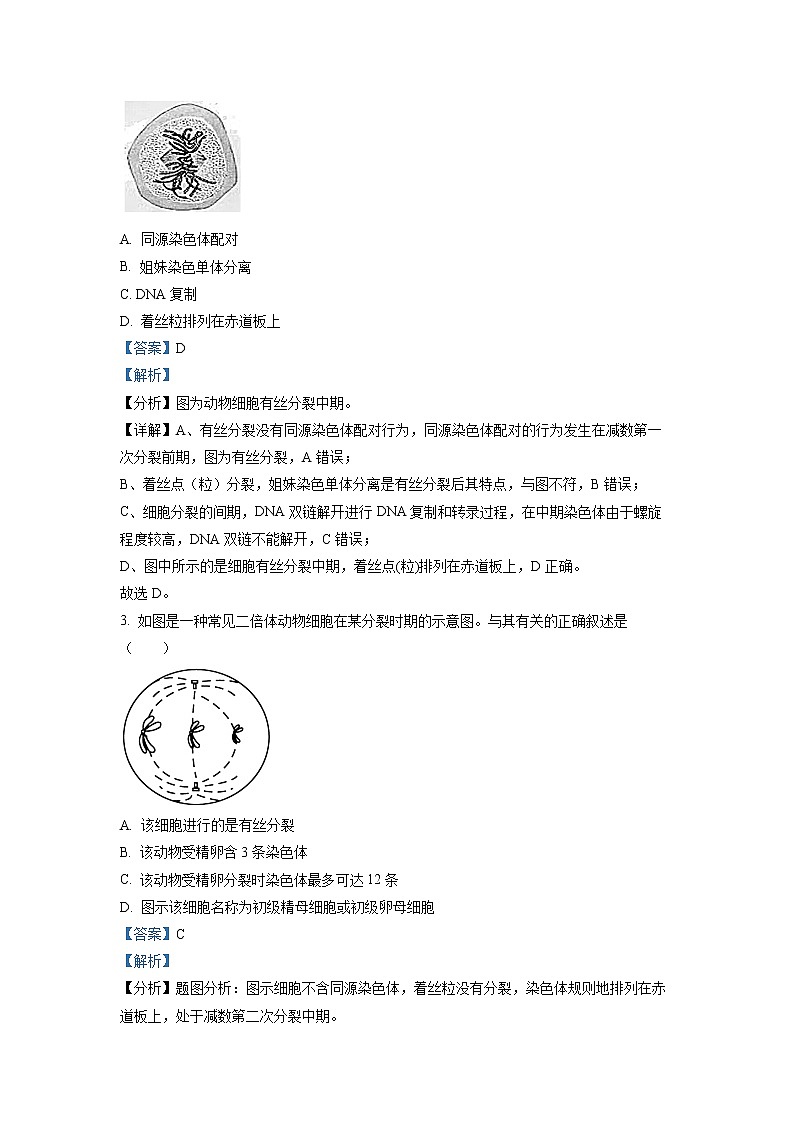 江苏省响水中学2022-2023学年高一生物下学期3月学情分析试题（Word版附解析）02
