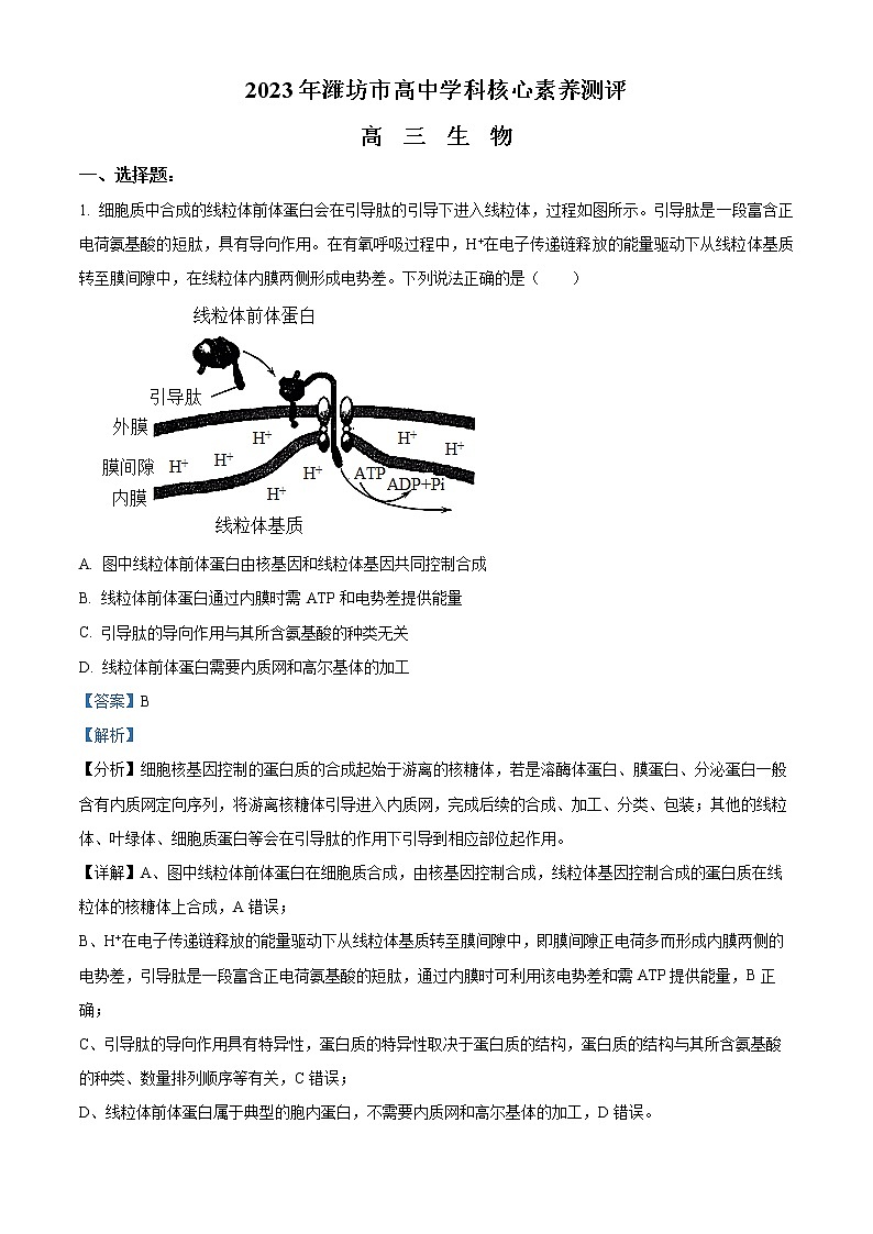 2023潍坊高三下学期3月学科核心素养测评试题生物含解析01