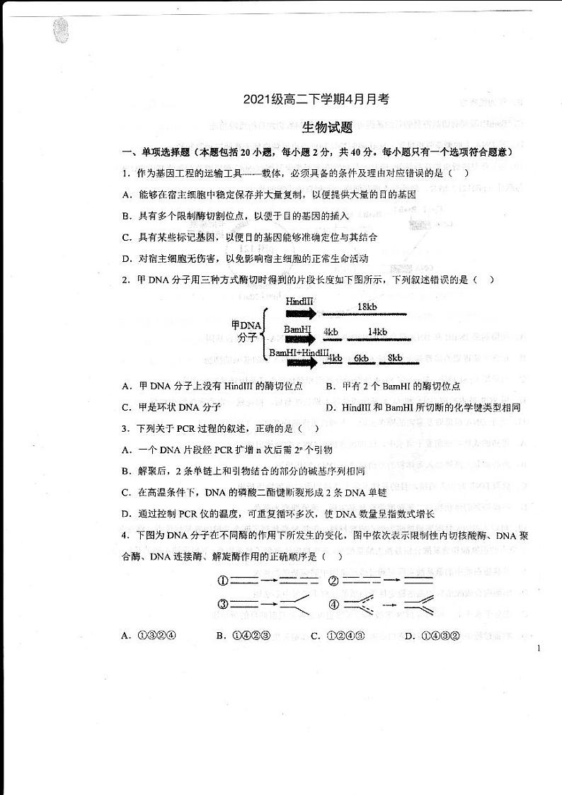 2023德州一中高二下学期4月月考生物试题扫描版含答案第1页