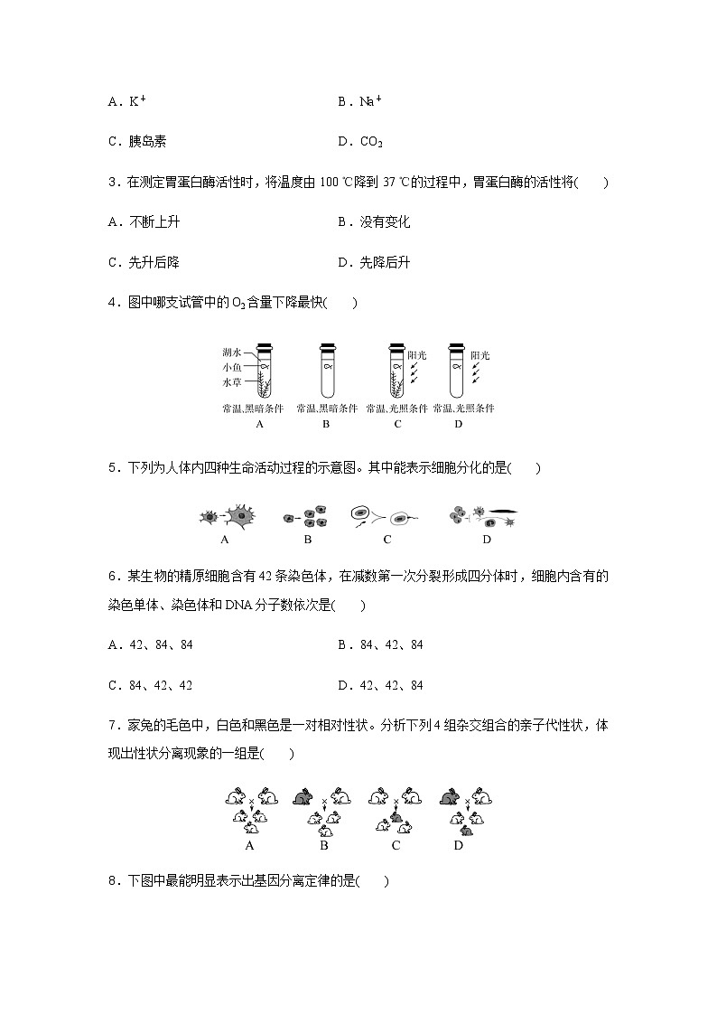 高中生物学业水平合格性考试模拟测试卷(三)含答案第2页
