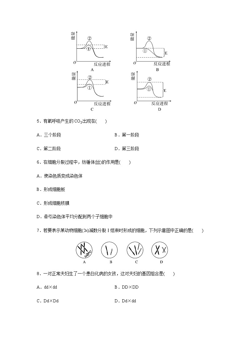 高中生物学业水平合格性考试模拟测试卷(四)含答案02