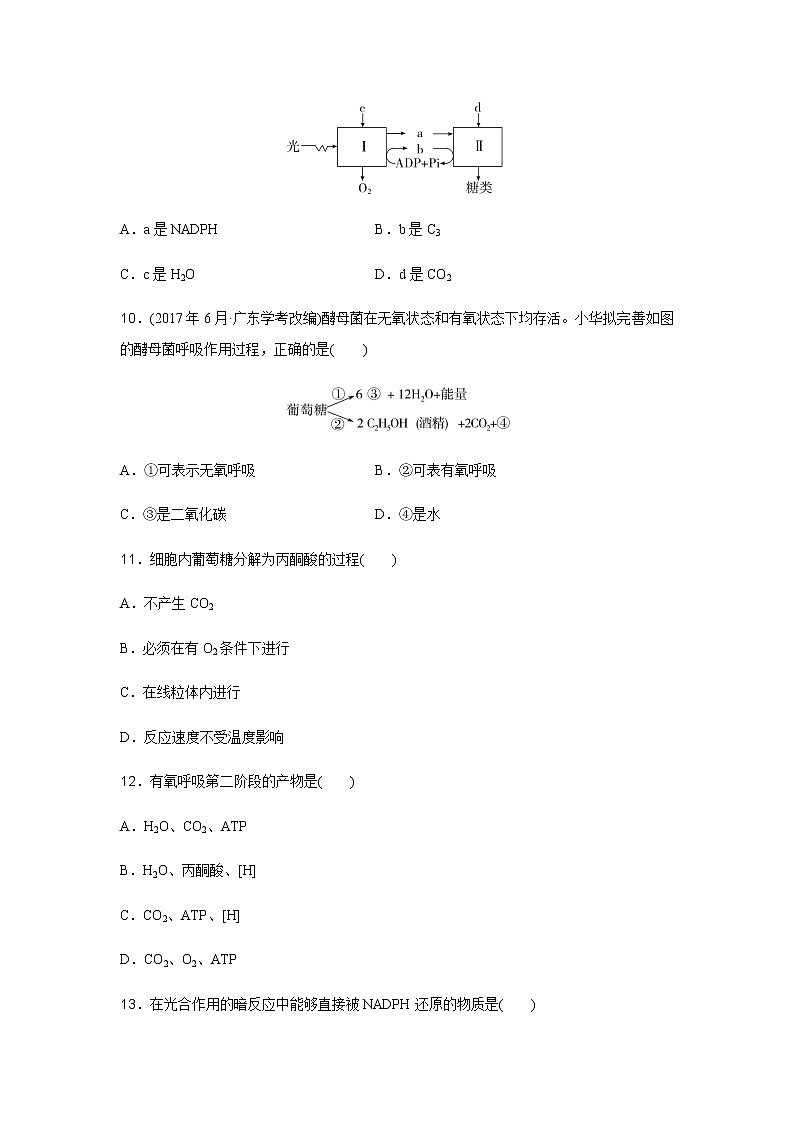 高中生物学业水平合格性考试演练测评(四)含答案第3页