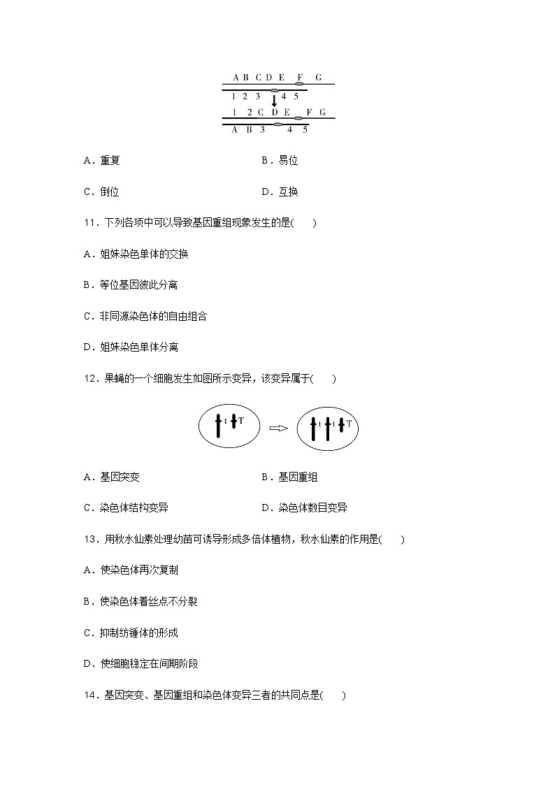 高中生物学业水平合格性考试演练测评(十)含答案03