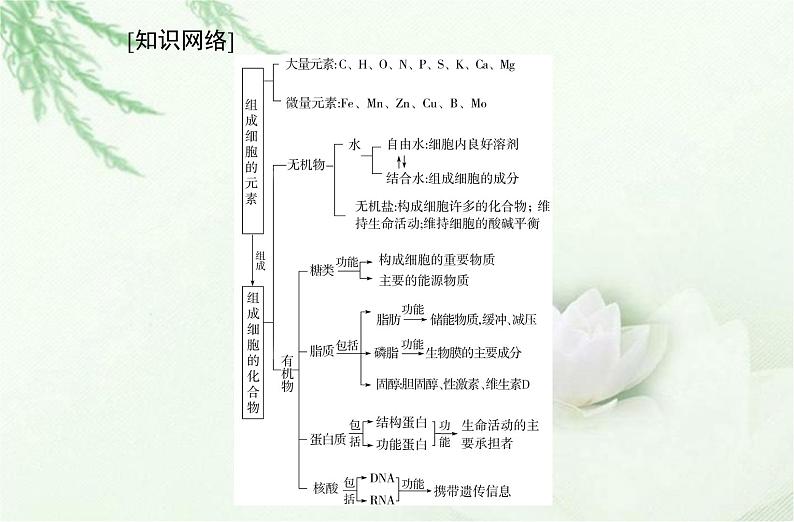 高中生物学业水平合格性考试专题一细胞的分子组成课件第2页