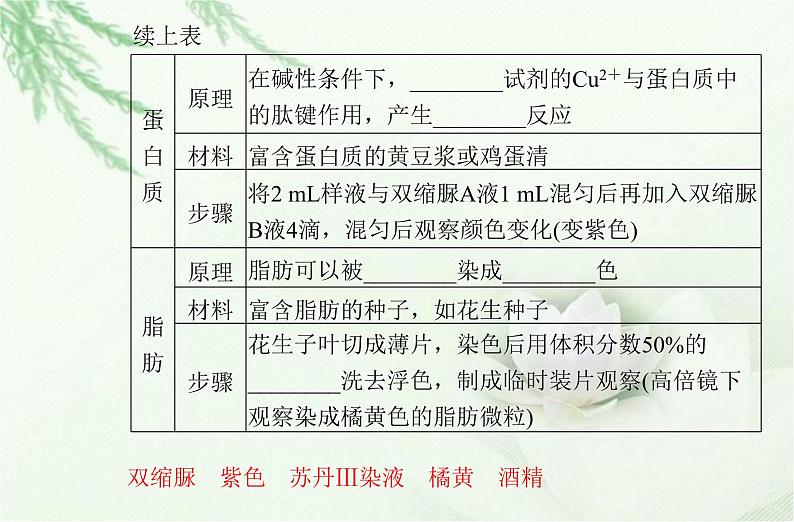 高中生物学业水平合格性考试专题一细胞的分子组成课件第6页