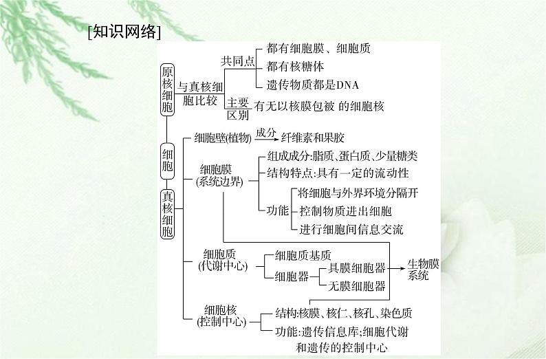 高中生物学业水平合格性考试专题二细胞的结构和功能课件第2页