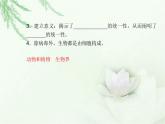 高中生物学业水平合格性考试专题二细胞的结构和功能课件