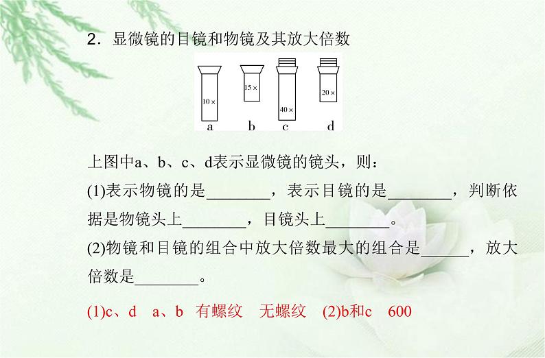 高中生物学业水平合格性考试专题二细胞的结构和功能课件第6页