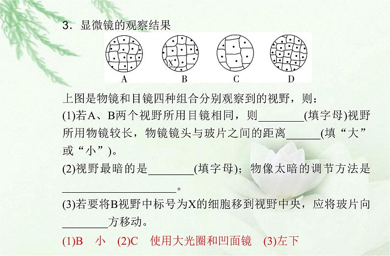 高中生物学业水平合格性考试专题二细胞的结构和功能课件第7页