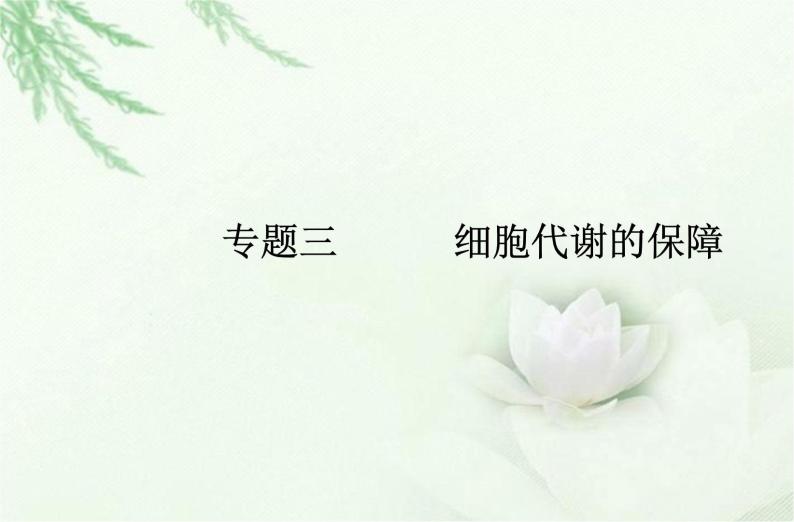 高中生物学业水平合格性考试专题三细胞代谢的保障课件01