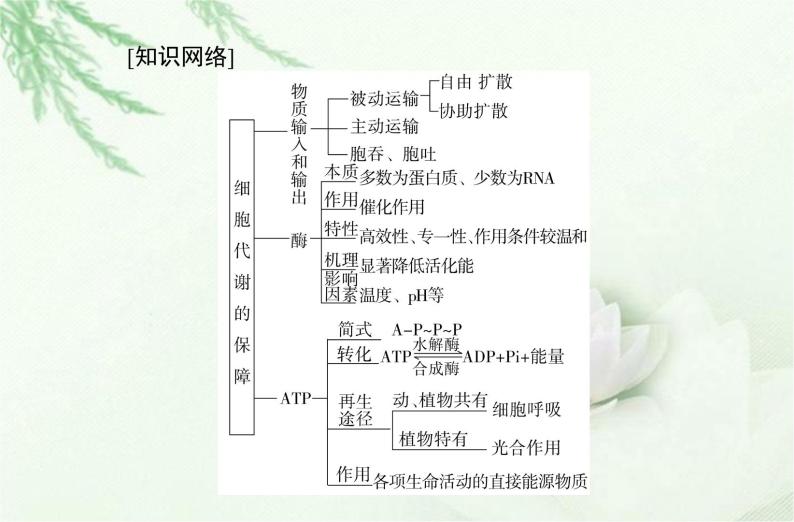 高中生物学业水平合格性考试专题三细胞代谢的保障课件02