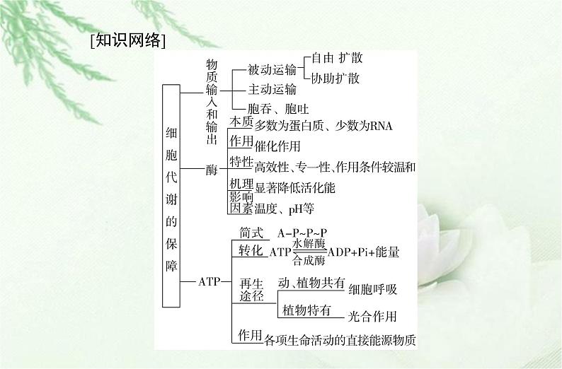 高中生物学业水平合格性考试专题三细胞代谢的保障课件02