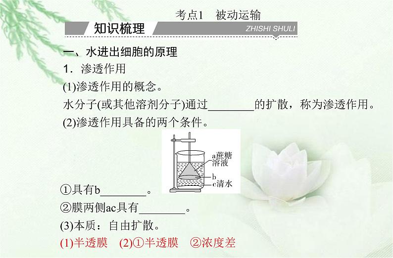 高中生物学业水平合格性考试专题三细胞代谢的保障课件03