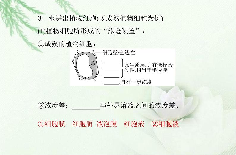 高中生物学业水平合格性考试专题三细胞代谢的保障课件05