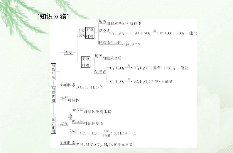 高中生物学业水平合格性考试专题四细胞代谢课件02