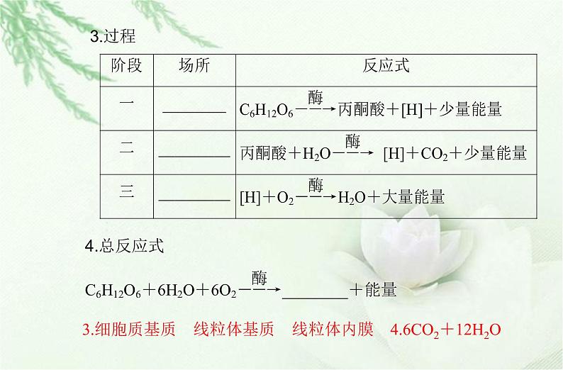 高中生物学业水平合格性考试专题四细胞代谢课件05