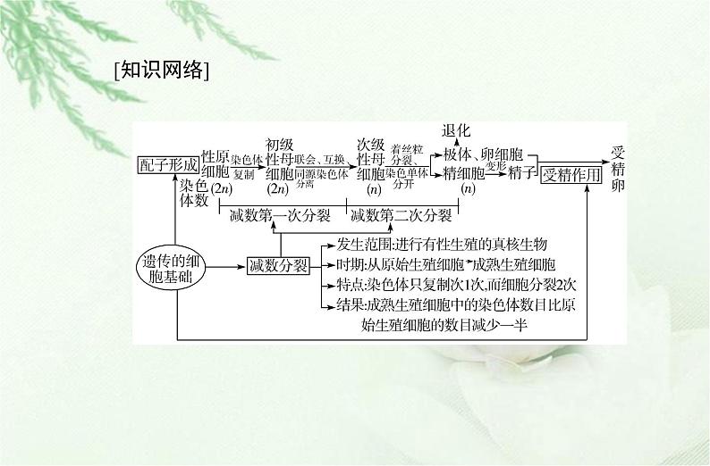 高中生物学业水平合格性考试专题六遗传的细胞基础课件第2页