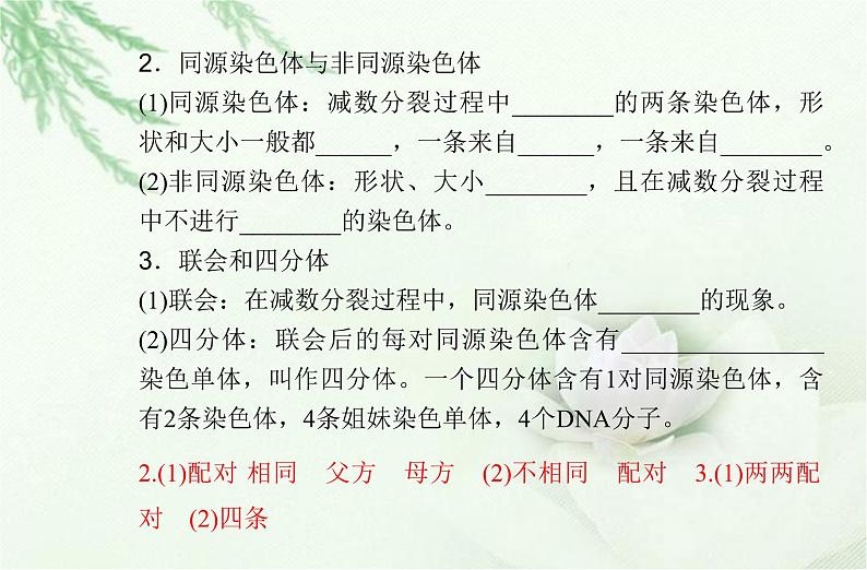 高中生物学业水平合格性考试专题六遗传的细胞基础课件第4页