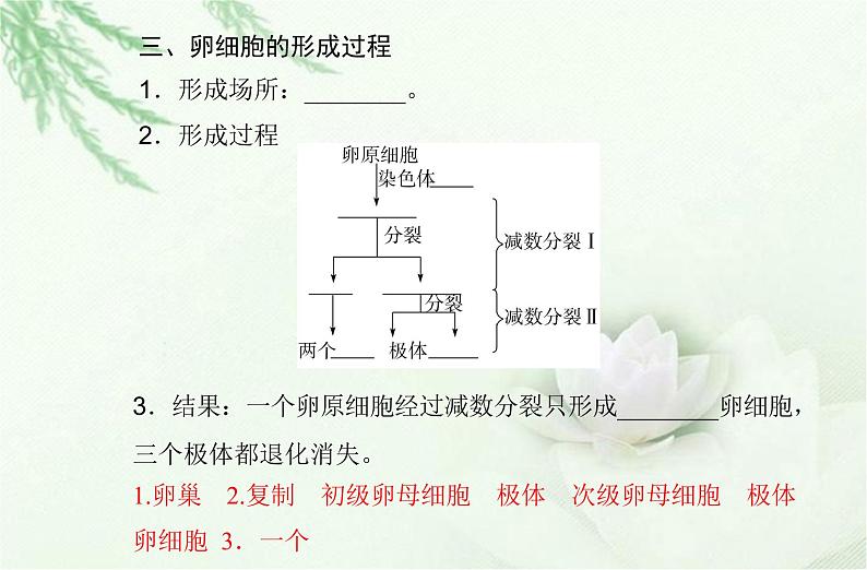 高中生物学业水平合格性考试专题六遗传的细胞基础课件第6页