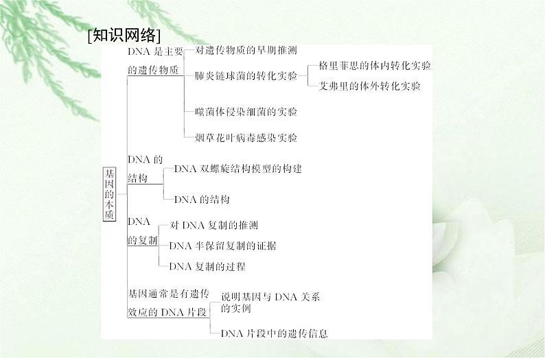 高中生物学业水平合格性考试专题七基因的本质课件02