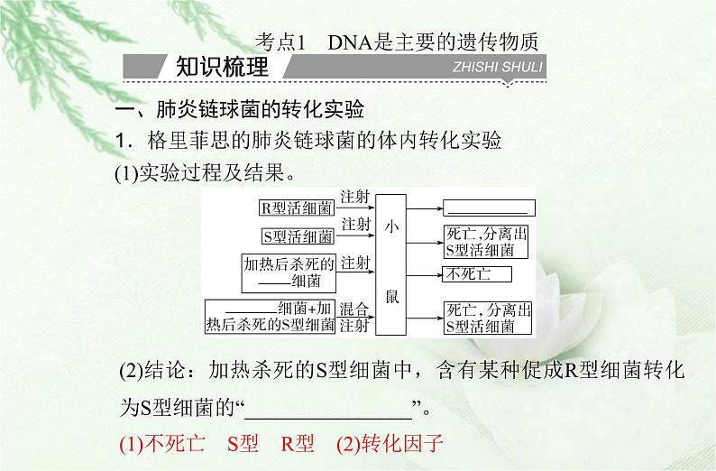 高中生物学业水平合格性考试专题七基因的本质课件03