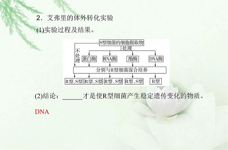 高中生物学业水平合格性考试专题七基因的本质课件04