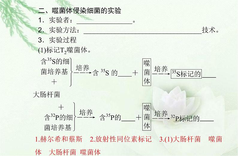 高中生物学业水平合格性考试专题七基因的本质课件05