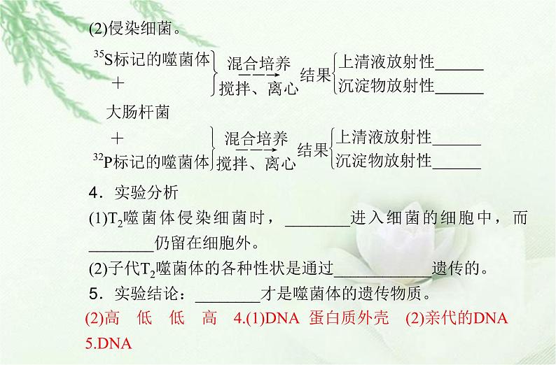 高中生物学业水平合格性考试专题七基因的本质课件06