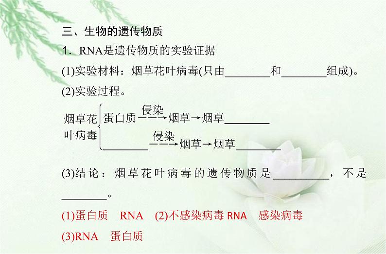 高中生物学业水平合格性考试专题七基因的本质课件07