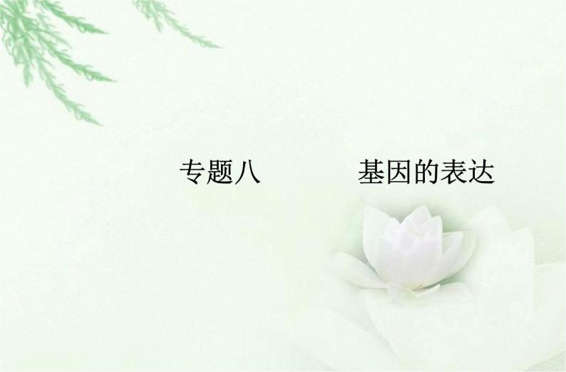 高中生物学业水平合格性考试专题八基因的表达课件01