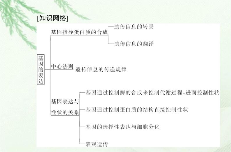 高中生物学业水平合格性考试专题八基因的表达课件02