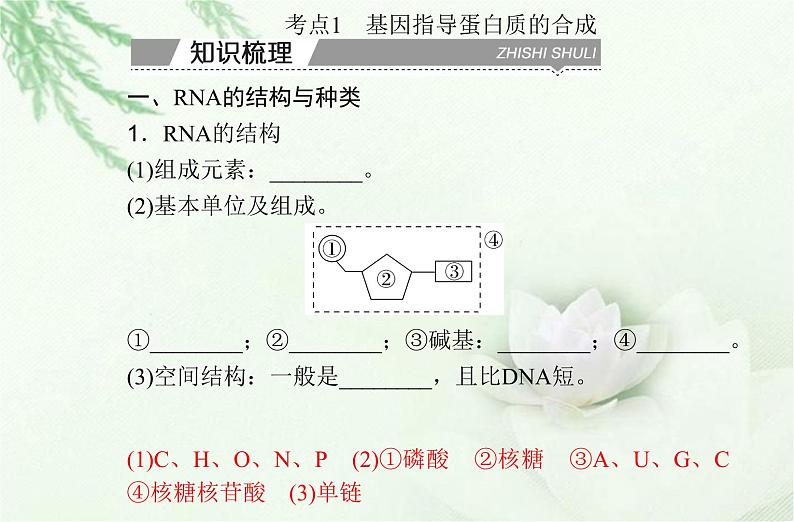 高中生物学业水平合格性考试专题八基因的表达课件第3页