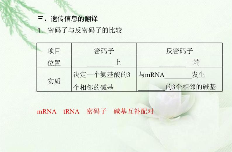 高中生物学业水平合格性考试专题八基因的表达课件06